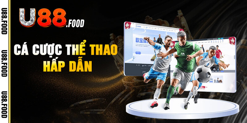 Thể thao - Cá độ trực tiếp siêu hồi hộp